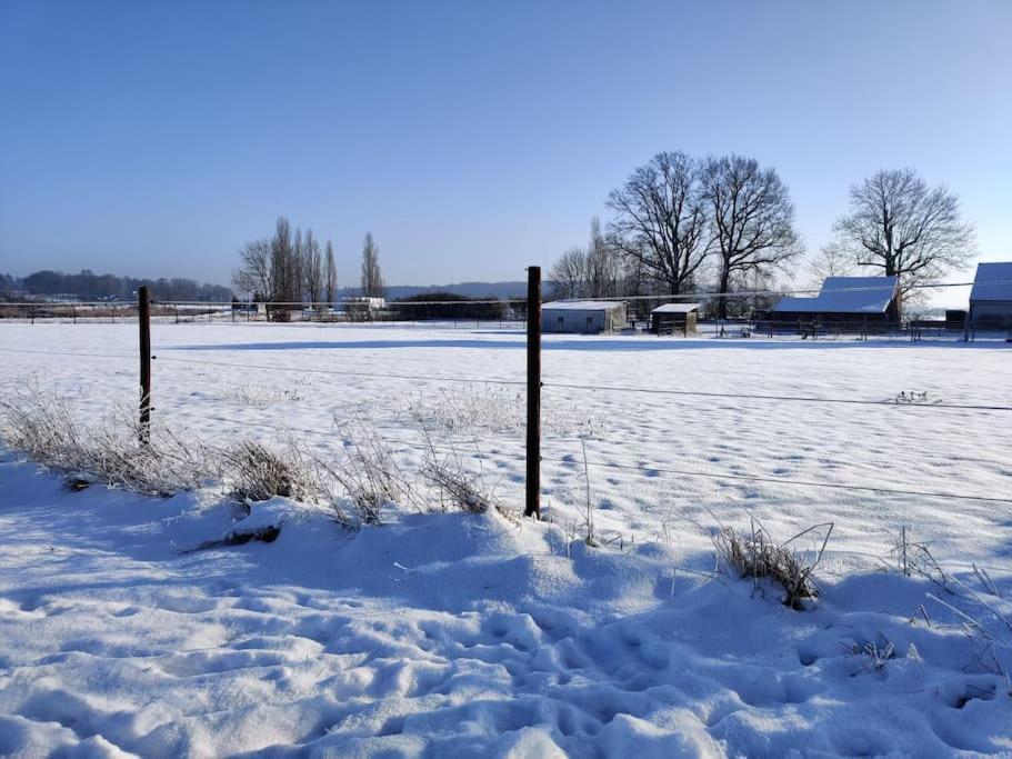 The Horst Cottage Holsbeek Экстерьер фото
