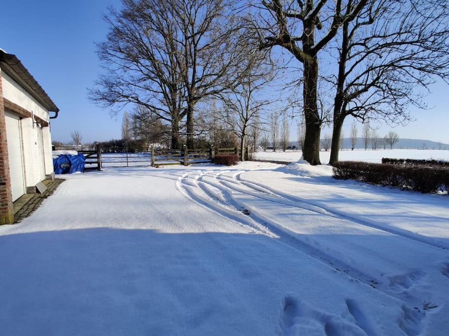 The Horst Cottage Holsbeek Экстерьер фото