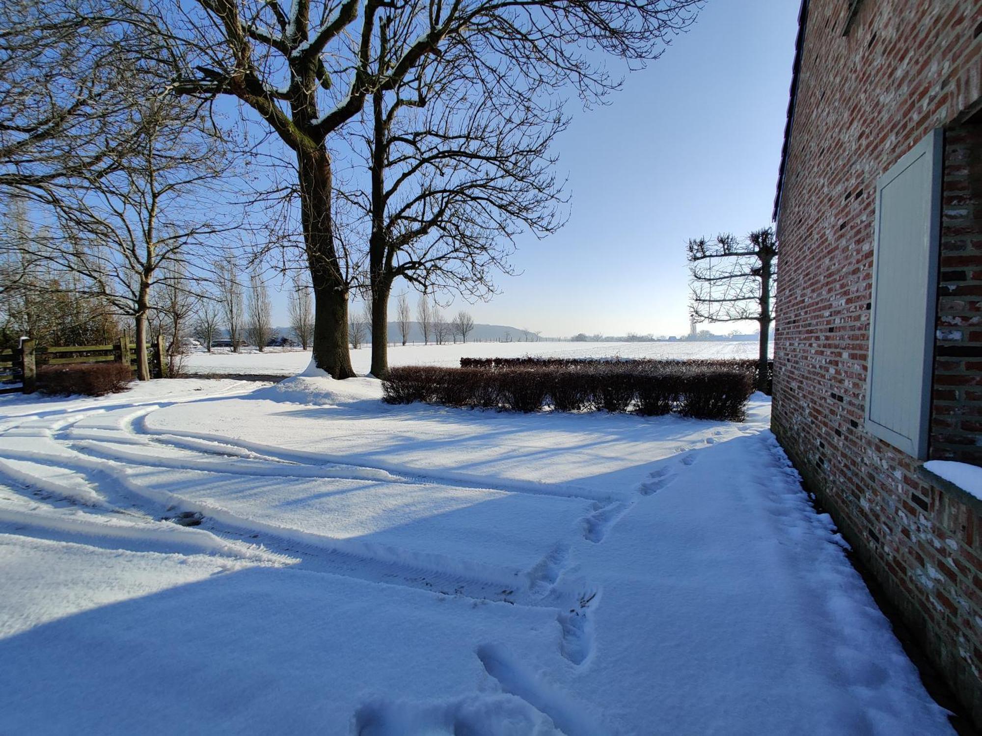 The Horst Cottage Holsbeek Экстерьер фото